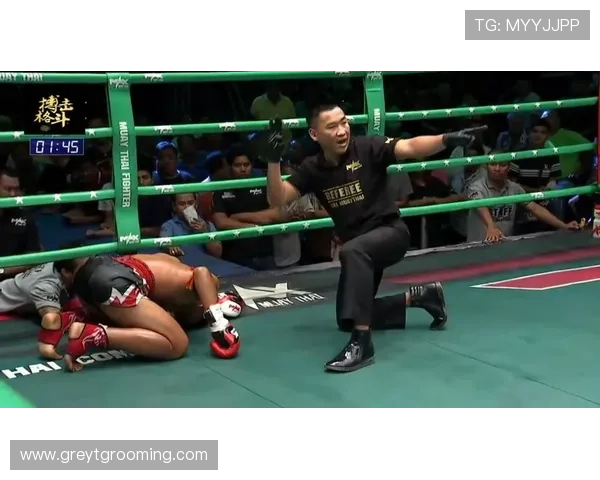 加亚比赛精彩回顾：激烈对抗与惊喜时刻引发关注