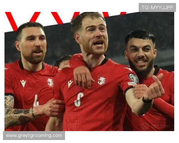 欧洲杯预选赛格鲁吉亚