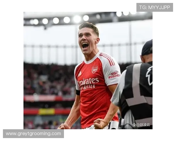 阿森纳争冠形势承压:战术依赖明显,阵容深度不足逐步显现 阿森纳争冠形势承压:战术依赖明显,阵容深度不足逐步显现