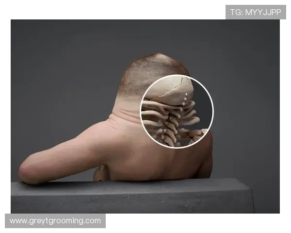 沃特金斯当前上限与未来技术进化空间解析 沃特金斯当前上限与未来技术进化空间解析