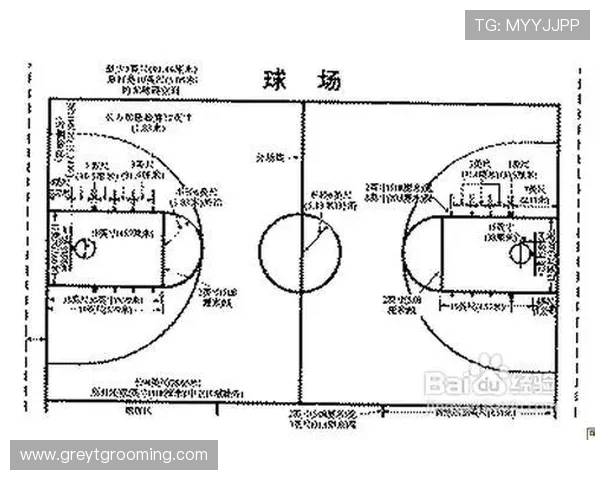 争球判定规则具体有哪些？新手必看的篮球规则解析
